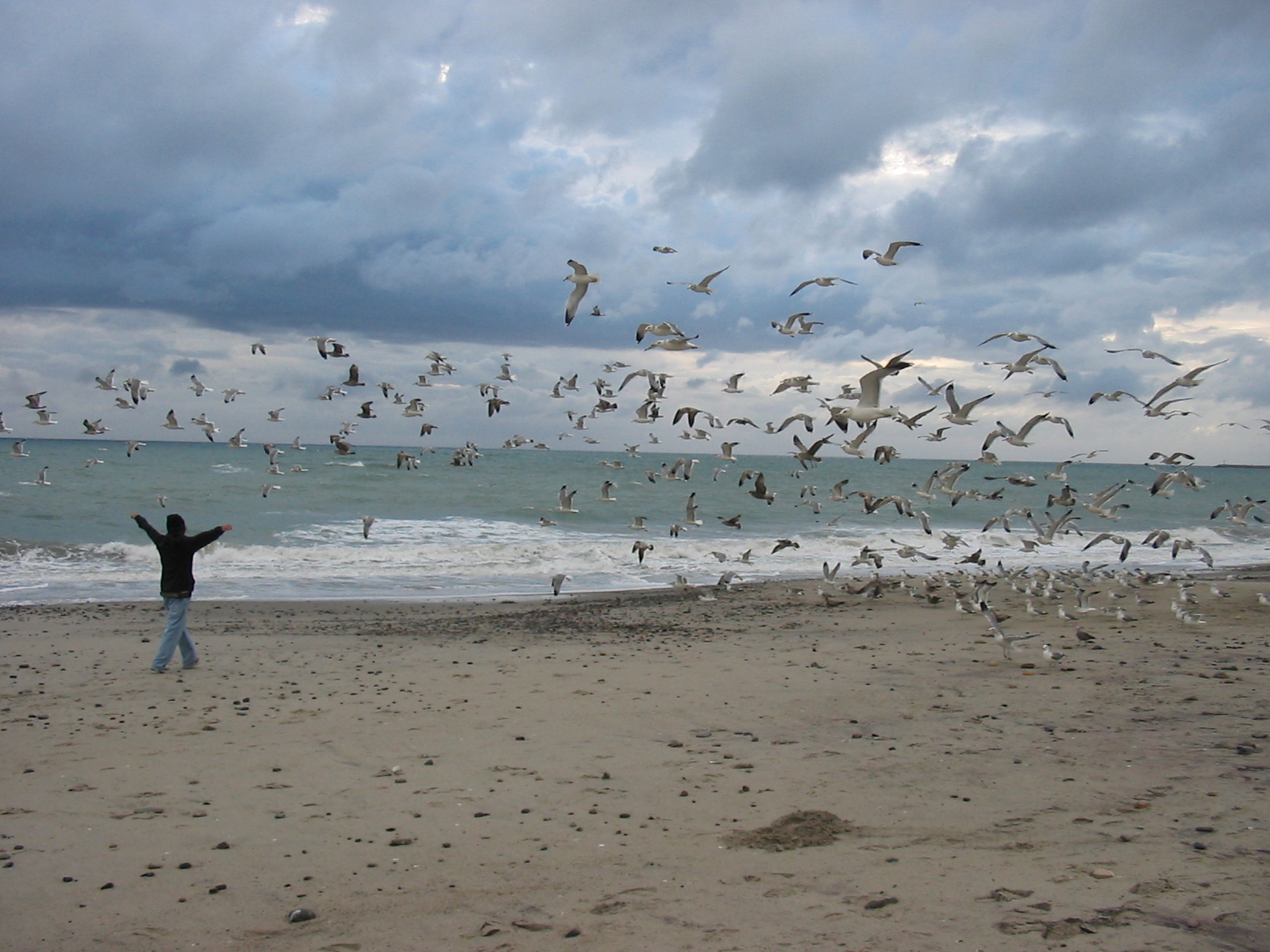 dmonday_at_the_beach__5974